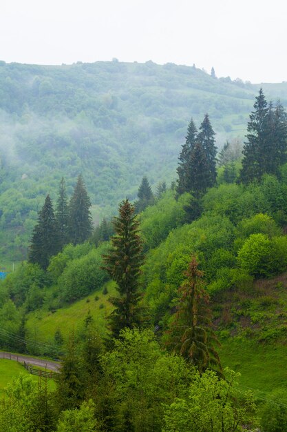 Beautiful top view of coutryside nature with road near hill and mist above the forest