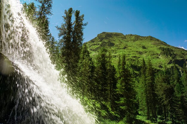 Bellissimo torrente di cascata