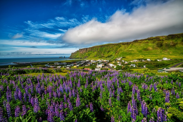 Bella città di vik i myrdal islanda in estate.
