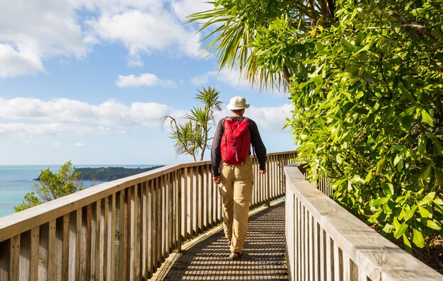 Beautiful trail in the Ocean Beach, New Zealand. Man walking  along the wooden boardwalk. Inspiring natural and travel background