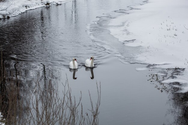 Photo beautiful tranquil winter scenery