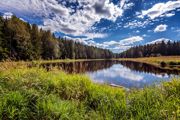 明るく青い空が反射する美しい透明な森の湖。