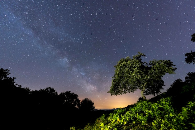 A beautiful tree under the beautiful Milky Way on Mount Erlaitz in the town of Irun