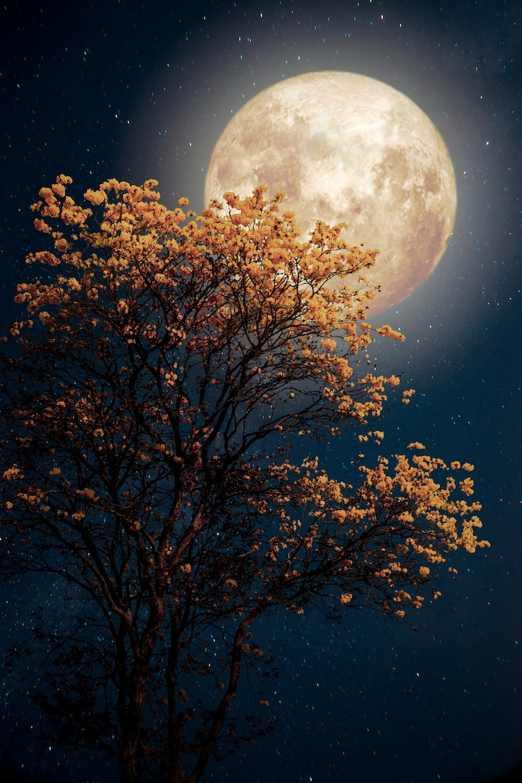 Photo beautiful tree yellow flower blossom with milky way star in night skies full moon - retro fantasy style artwork with vintage color tone.