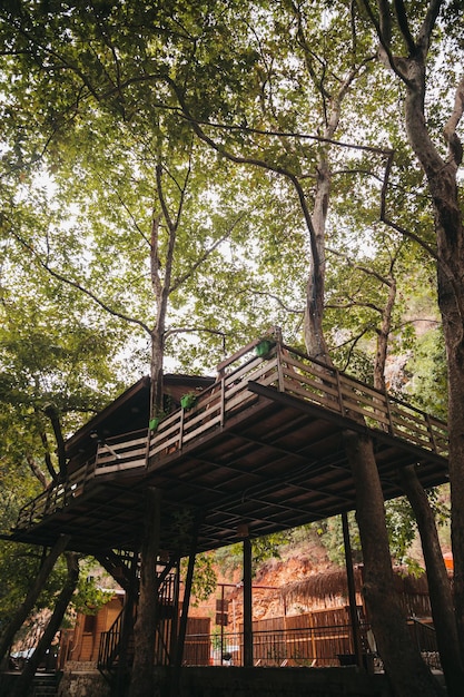 beautiful treehouse in nature with branch patterns