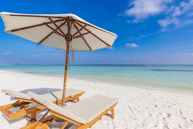 Beautiful tropical beach banner. white sand coco palms travel tourism wide panorama. summer sea