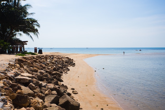 美しい熱帯浜、島の島のKoh Phangan、タイの青い海の水