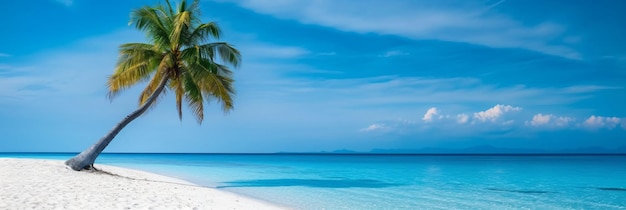 Beautiful tropical beach desert island with white sand coconut tree and turquoise sea