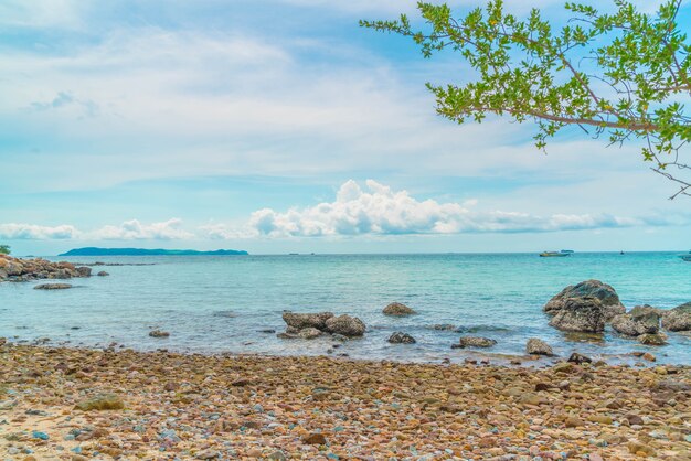 beautiful tropical beach at Koh Larn in Pattaya