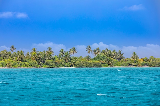 Beautiful tropical beach landscape. Nature coast, travel tourism exotic scenery. Palm trees lagoon