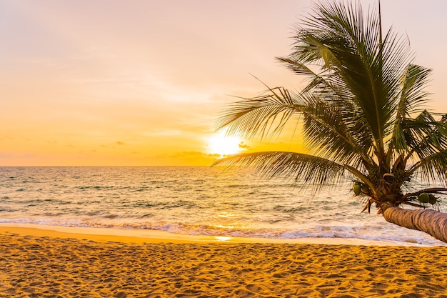 Bello oceano di mare della spiaggia tropicale intorno alla palma da cocco al tramonto o all'alba per il fondo di viaggio di vacanza