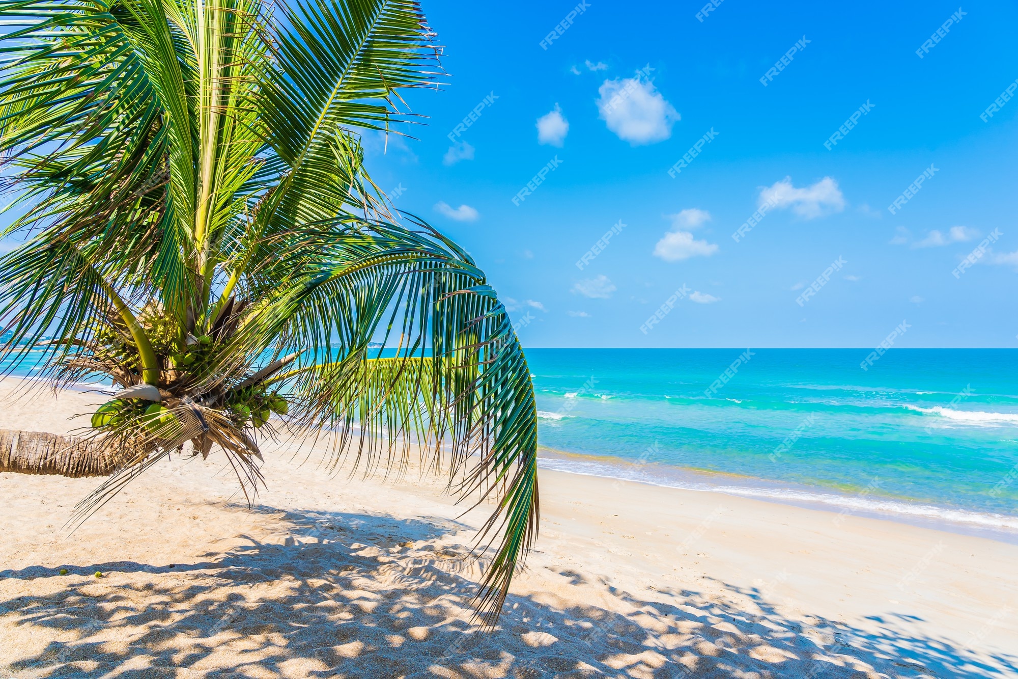 Wallpaper HD Beautiful Sandy Beach Sea View Beach Coconut Trees 3D