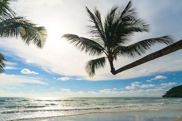 青い空の下でココヤシのヤシの木と美しい熱帯のビーチと海