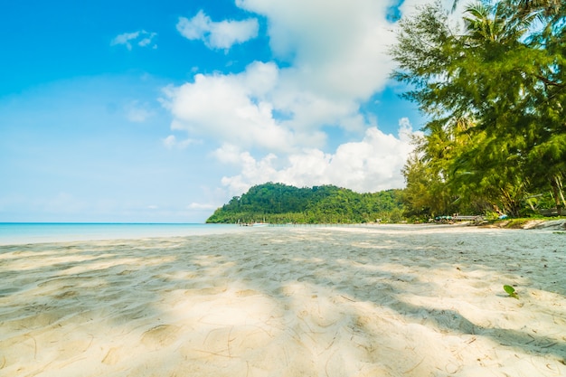 Beautiful tropical beach and sea with coconut palm tree in paradise island 