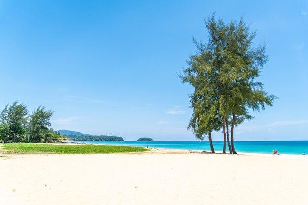 Beautiful tropical beach and sea with coconut palm tree in paradise island 