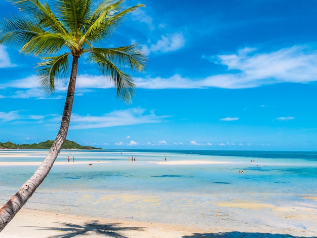 Beautiful tropical beach and sea with coconut palm tree