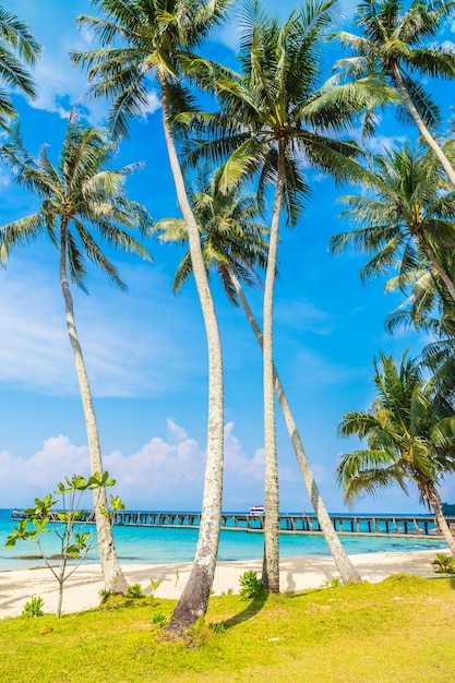 Beautiful tropical beach and sea