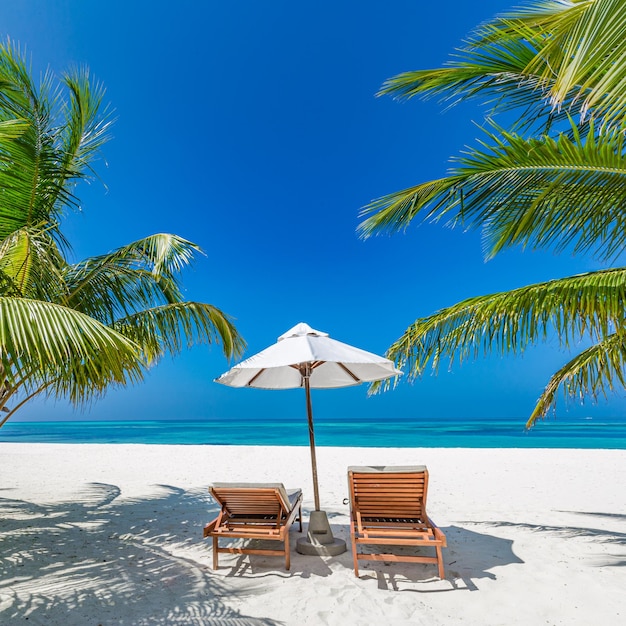 아름다운 열대 해변. 하얀 모래 코코 야자수 여행 관광, 의자 우산. 여름 해변