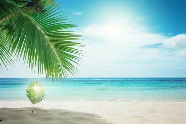 Beautiful tropical beach with palm trees