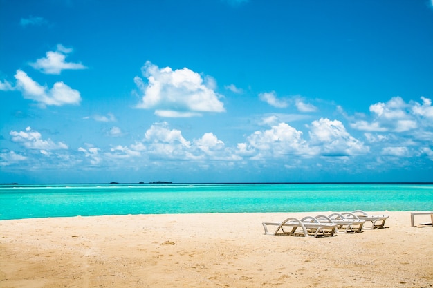 Beautiful tropical beach with stove benches, Maldives