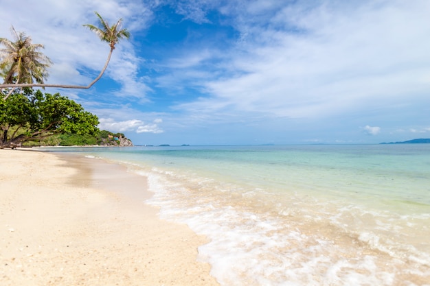 Красивый тропический восхитительный необычайно яркий райский пейзаж, белый песок и пальмы