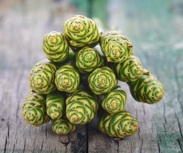 Photo beautiful tropical green ginger flower on wood