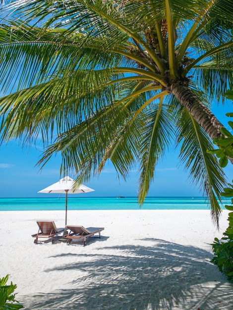 Beautiful tropical island scenery, two sun beds, loungers, umbrella under palm tree. White sand, sea