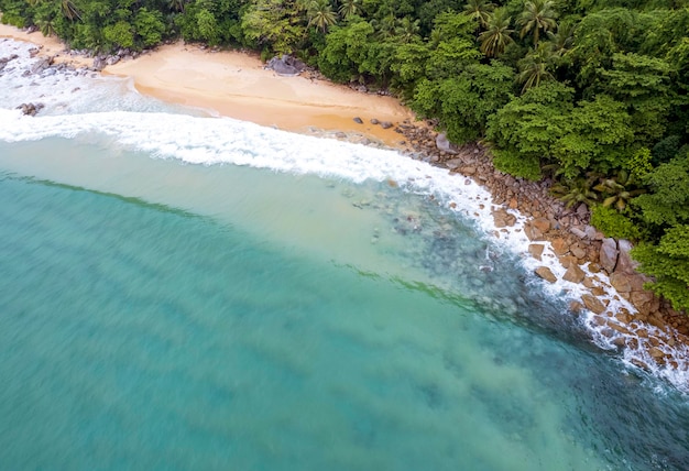 Beautiful tropical island with beach and coconut palm tree freedom beach phuket