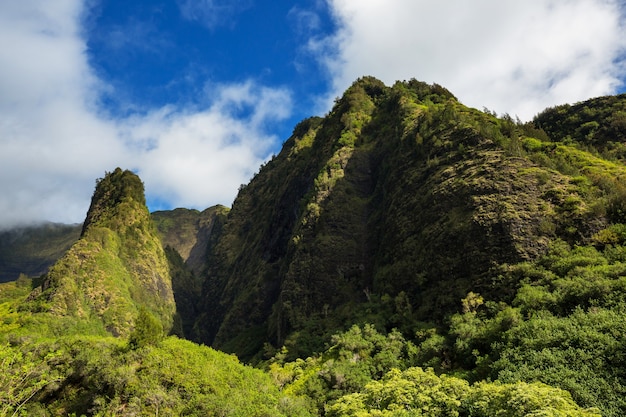Bellissimi paesaggi tropicali sull'isola di maui, hawaii