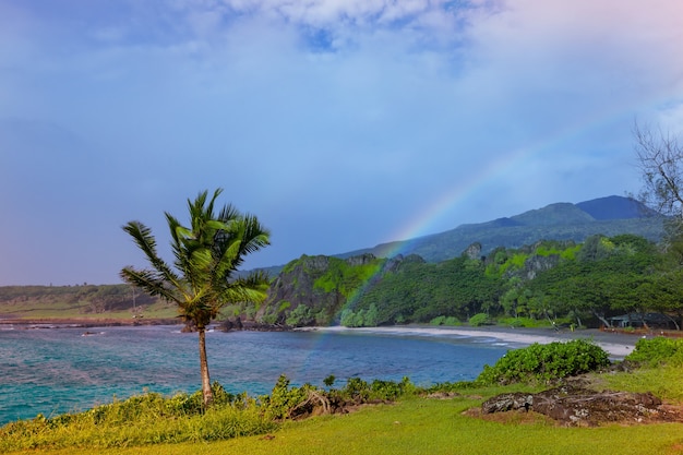 Красивые тропические пейзажи на острове Мауи, Гавайи