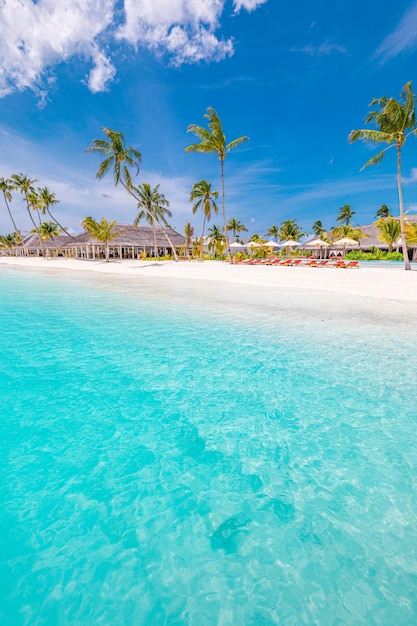 Beautiful tropical Maldives island resort beach sea and coconut palm tree on blue sky