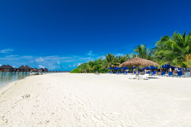 Beautiful tropical Maldives island with beach