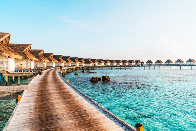 美しいトロピカルモルディブリゾートホテルとビーチと海の島
