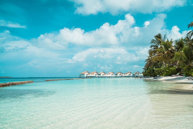 美しい熱帯のモルディブリゾートホテルとビーチと海の島