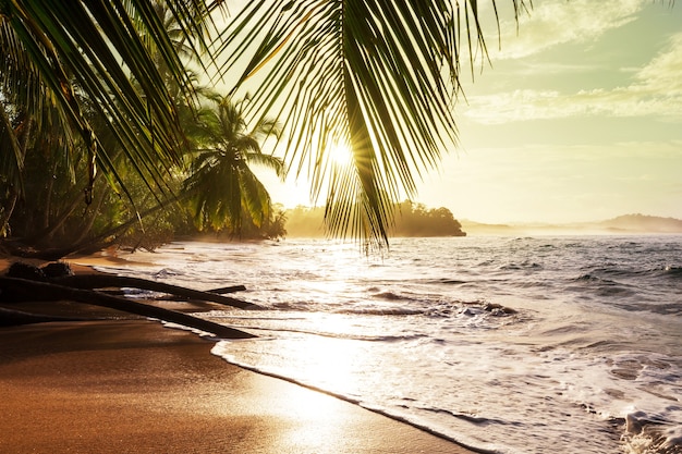 Beautiful tropical Pacific Ocean coast in Costa Rica