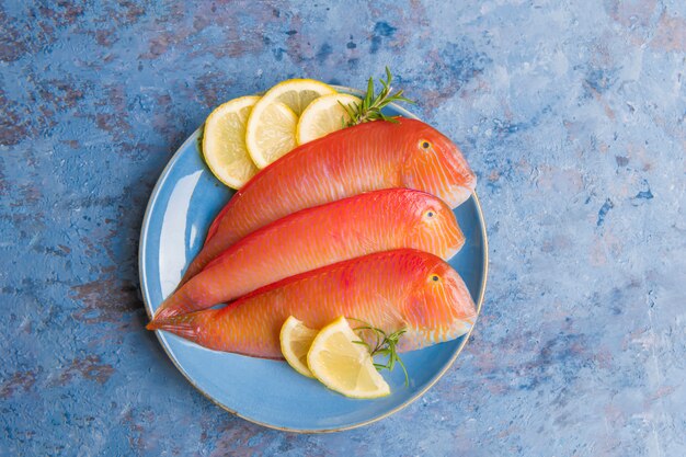 Beautiful tropical red sea fish Pearly razorfish on a blue surface. Xyrichtys novacula, seafood from Mediterranean Sea.