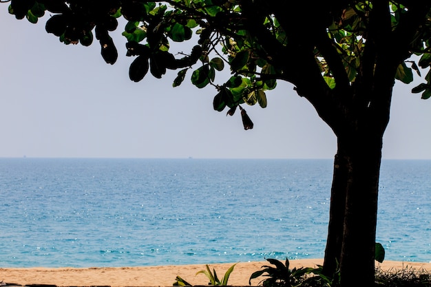 Foto bellissimo mare tropicale in estate