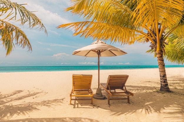 Beautiful tropical sunset, couple beds chairs, umbrella under palm tree. Peaceful romantic landscape