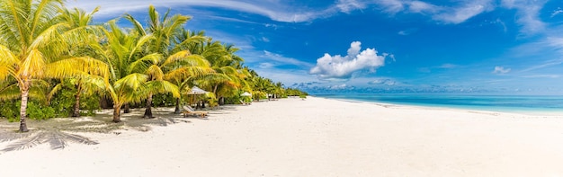 아름다운 열대 일몰 풍경, 2개의 일광욕용 침대, 라운저, 야자수 아래 우산. 하얀 모래, 바다