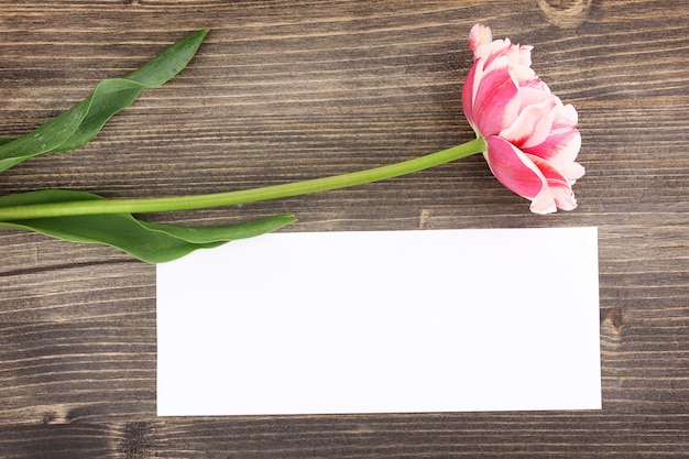 Beautiful tulip and card on wooden background