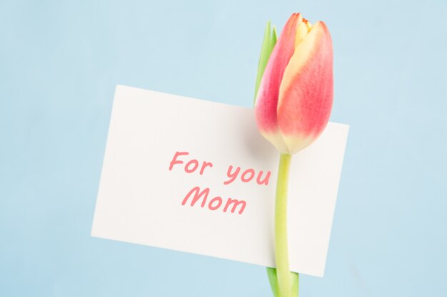 A beautiful tulip with a card for a mother 