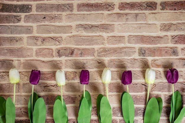 Bellissimi tulipani su sfondo muro di mattoni bella cartolina d'auguri con tulipani per la festa della mamma