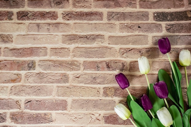 Beautiful tulips on brick wall background Lovely greeting card with tulips for Mothers day