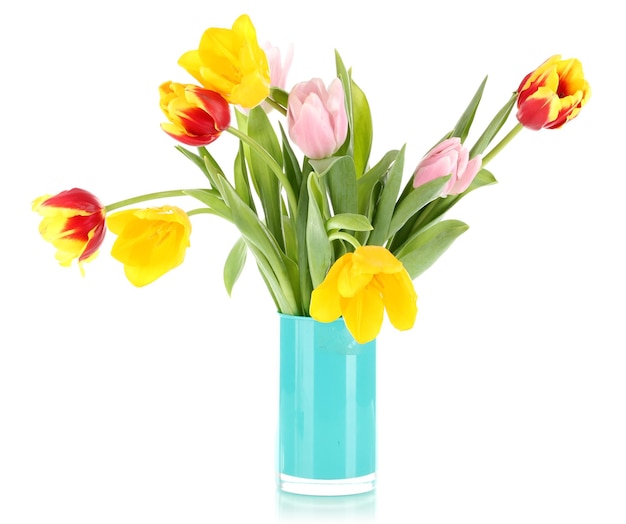 Beautiful tulips in bucket isolated on white