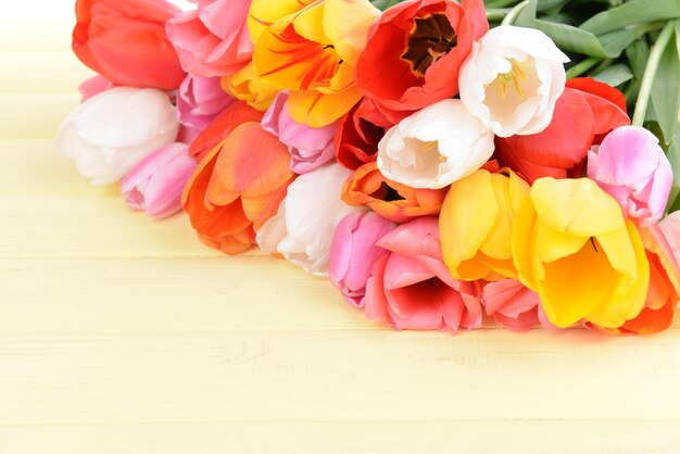 Beautiful tulips in bucket on table close-up