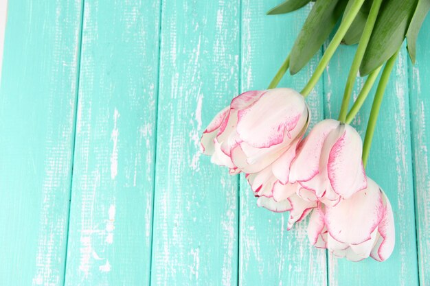 Beautiful tulips on color wooden background