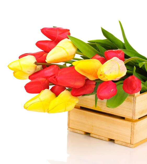 Beautiful tulips in crate isolated on white