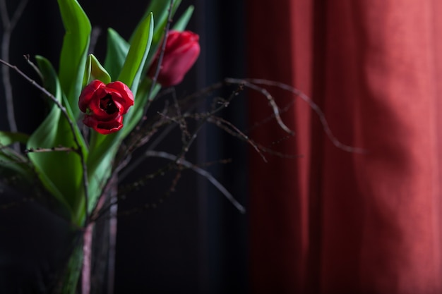 I bei tulipani fioriscono il colore rosso in vaso di vetro su fondo nero. cartolina d'auguri di san valentino o festa della mamma. copia spazio per il testo