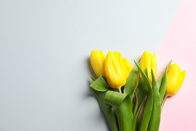 Beautiful tulips on light, top view