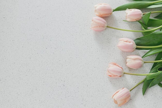 モダンなテーブルに美しいチューリップ スタイリッシュな花フラット レイアウト コピー スペース ハッピー イースター幸せな母の日と女性の日 石のテクスチャ背景にピンクのチューリップの花束